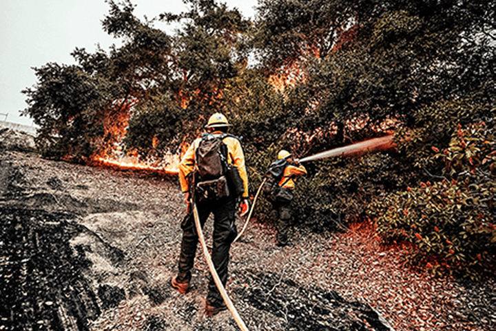 Firefighter fighting fire in a forest