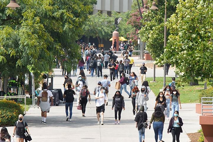 Students walking on the main walkway